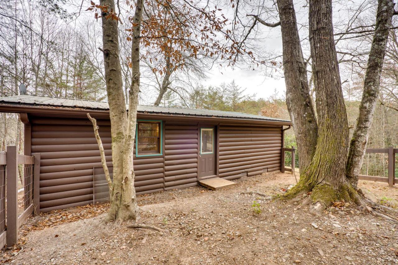 Peaceful Warne Cabin Fenced Yard And Screened Porch Brasstown Екстериор снимка