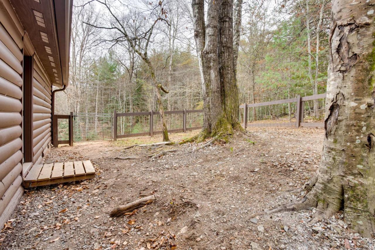 Peaceful Warne Cabin Fenced Yard And Screened Porch Brasstown Екстериор снимка